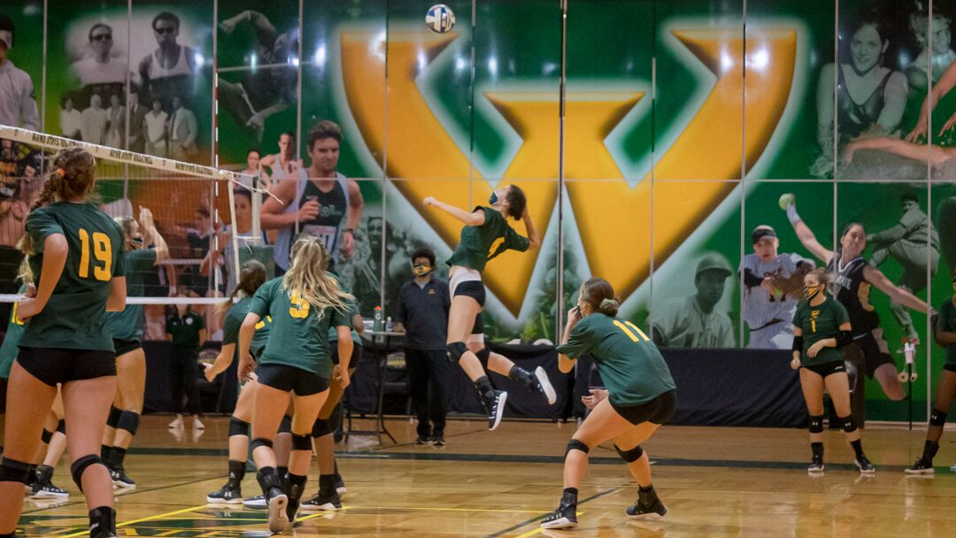 WSU volleyball 5